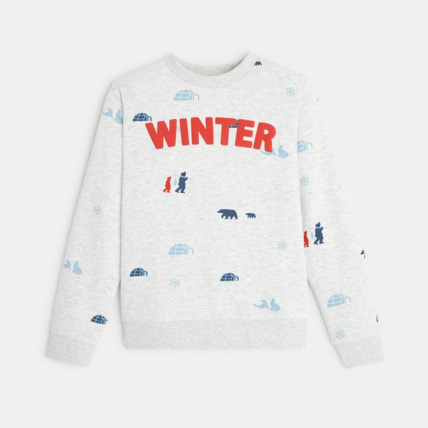 Avis Sweat-shirt imprimé motif sports d'hiver blanc garçon OKAIDI 1