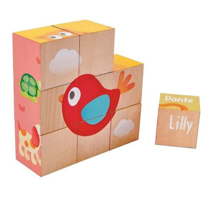 Avis Cubes Puppy et ses amis HAPE 1