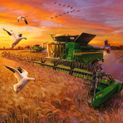 Avis Puzzle Les saisons / John Deere - de 5 ans RAVENSBURGER 5