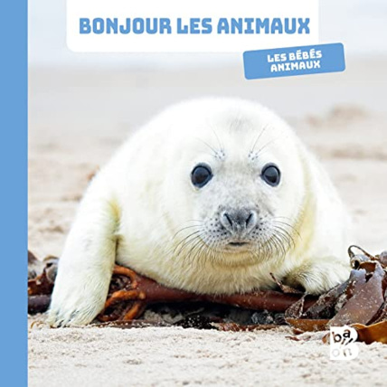 Avis Livre Bonjour les animaux - Les bébés animaux BALLON 1