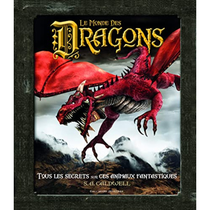 Avis Livre Le Monde Des Dragons GALLIMARD JEUNESSE 1