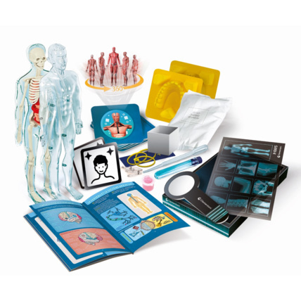 Avis L'anatomie Clementoni 4