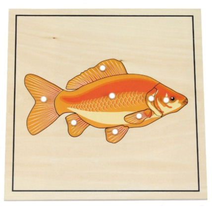 Avis Puzzle du poisson avec squelette ambiance montessori 1