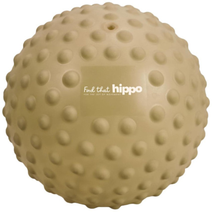 Avis Balle sensorielle Find that hippo 4