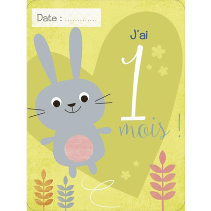Avis Souris mon bébé ! EDITIONS PICCOLIA 2