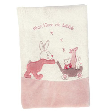 Avis Myrtille et Capucine livre de naissance moulin Roty 1
