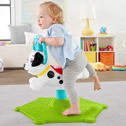 Avis Chien Tourni-rebond Fisher-Price 9