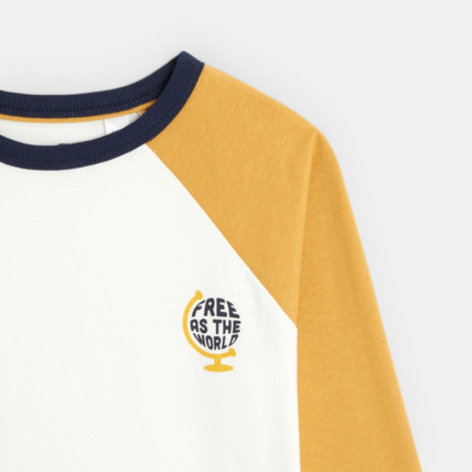 Avis T-shirt bicolore à message "Free as the World" jaune garçon OKAIDI 3