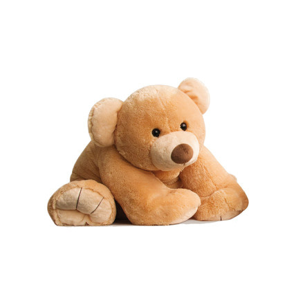 Avis Gros ours HISTOIRE D'OURS 2