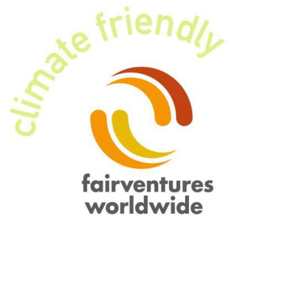 Avis EcoCreate - Mini - Safari - de 6 ans RAVENSBURGER 4