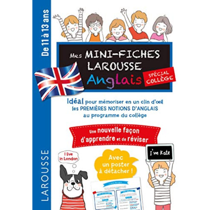 Avis Mini fiches spécial anglais (college) LAROUSSE 1