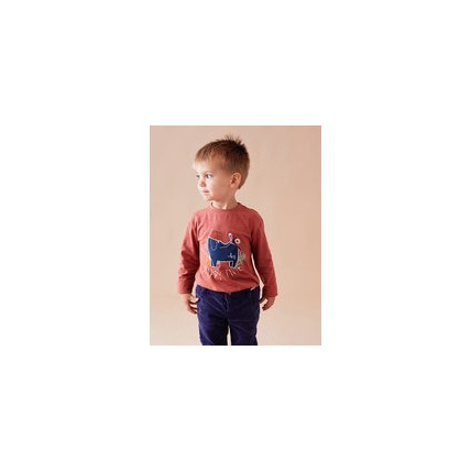 Avis T-shirt en coton BIO éléphant NOUKIE'S 1