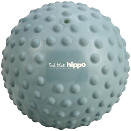 Avis Balle sensorielle Find that hippo 1