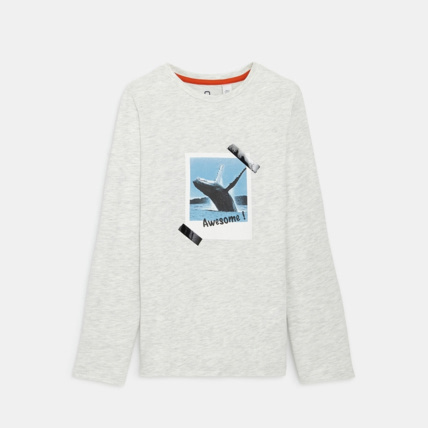 Avis T-shirt en coton biologique photo baleine blanc garçon OKAIDI 2
