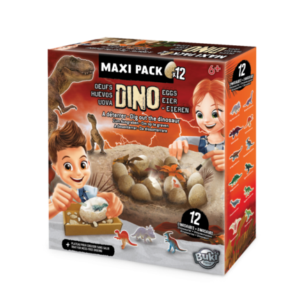 Avis Dino egg maxi pack Buki France 1