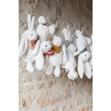 Avis Paulin le Lapin Petit Picotin 5
