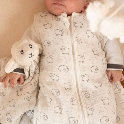 Avis Doudou Wooly le mouton Trois Kilos Sept 3