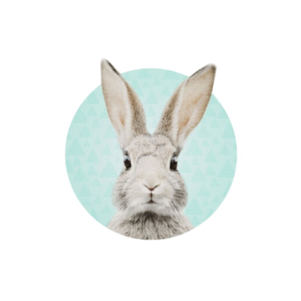 Avis Sticker lapin Stephan Mon Lit Cabane 2