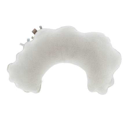 Avis Coussin de maternité SnoozeBaby 1