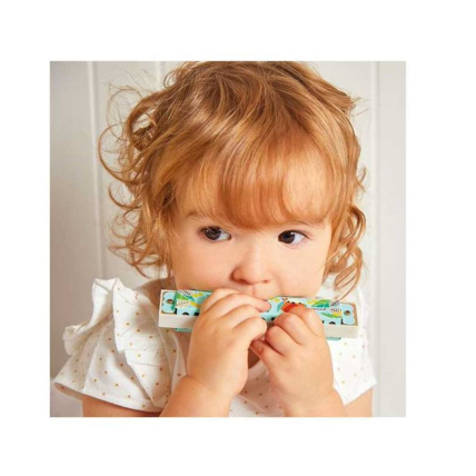 Avis Harmonica Gioia JANOD 3