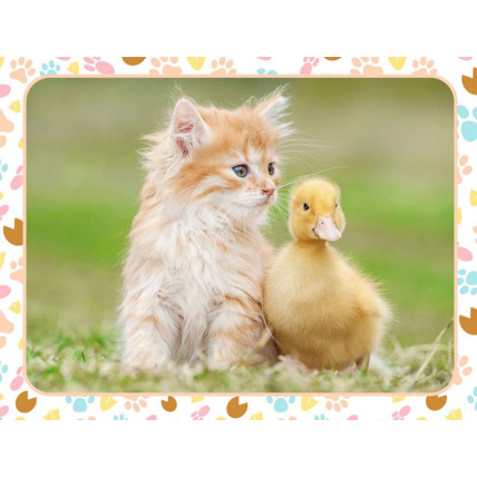 Avis Puzzle Chaton roux et bébé canard - de 4 ans RAVENSBURGER 2
