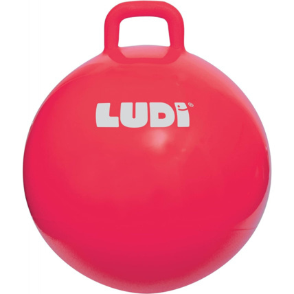 Avis Ballon sauteur xxl LUDI 2