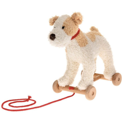 Avis Eliot le chien à tirer EGMONT TOYS 1