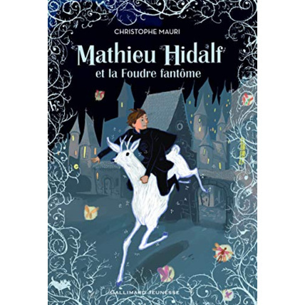 Avis Livre Mathieu Hidalf, 2 : Mathieu Hidalf Et La Foudre Fantôme GALLIMARD JEUNESSE 1