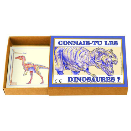 Avis Connais-tu les dinosaures ? MARC VIDAL 1