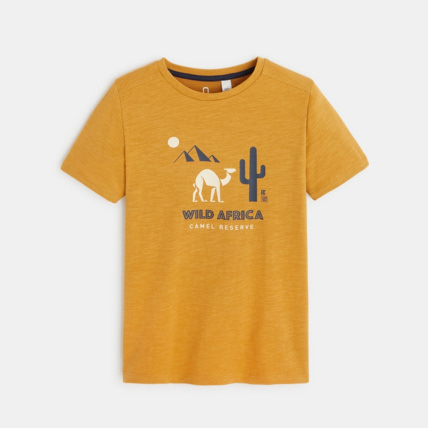 Avis T-shirt coton flammé Afrique jaune garçon OKAIDI 1