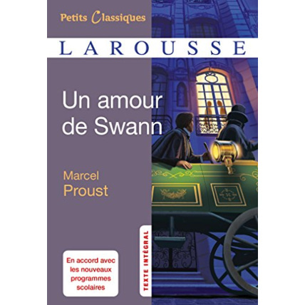 Avis Un amour de Swann LAROUSSE 1