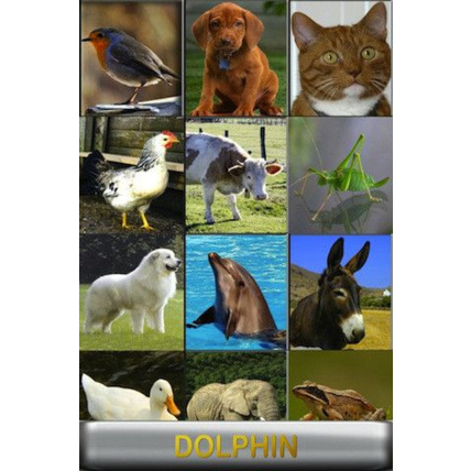 Avis Vocal Zoo pour iPhone - 1