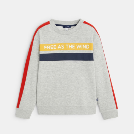 Avis Sweat-shirt à message "Free as the wind" gris garçon OKAIDI 2