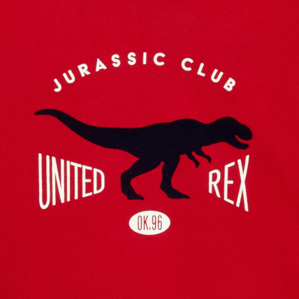 Avis T-shirt manches longues Jurassic Club rouge garçon OKAIDI 3