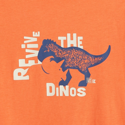 Avis T-shirt à motif orange garçon OKAIDI 3