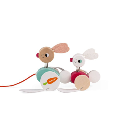 Avis Lapins à promener Zigolos JANOD 3