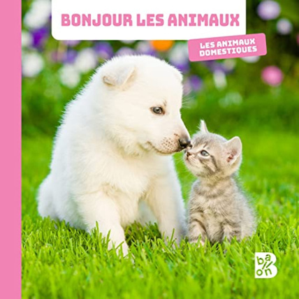 Avis Livre Bonjour les animaux - Les animaux domestiques BALLON 1