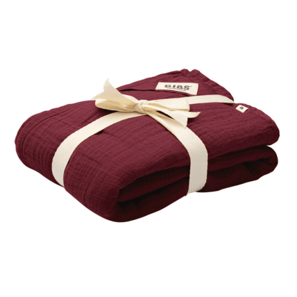 Avis PACK X2 LANGES 70X70CM BIBS 3