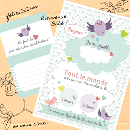 Avis Pack cadeau naissance avec moufles anti-griffures Sevira Kids 2