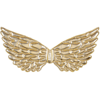 Avis Ailes de Nyla SOUZA 1