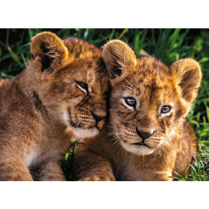 Avis Puzzle Adorables lionceaux - de 8 ans RAVENSBURGER 2
