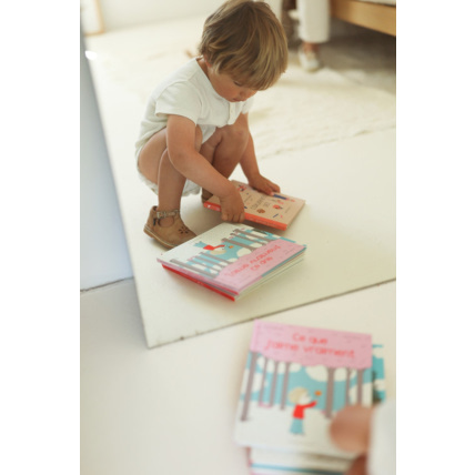 Avis Livre Ce que j'aime vraiment Petit Picotin 1