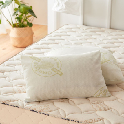 Avis Oreiller Anti acarien Greenfirst Matelas No Stress 1