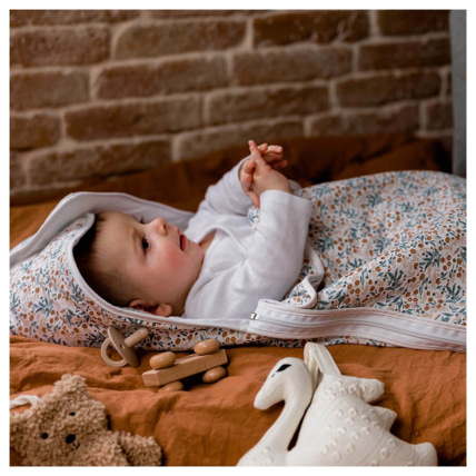 Avis Nid d'ange Gaspard & Lily - 70 cm CANDIDE 1