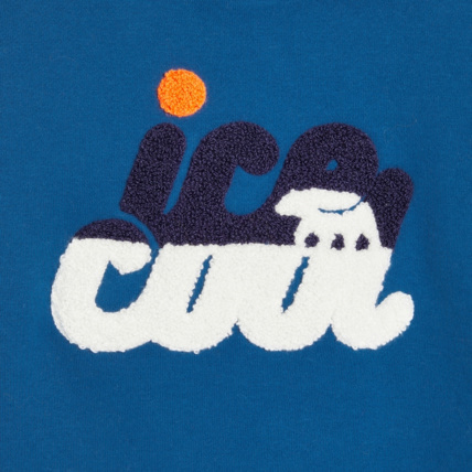 Avis Sweat-shirt à capuche "ice cool" bleu garçon OKAIDI 2
