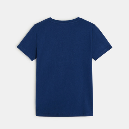 Avis T-shirt motif dinosaures bleu garçon OKAIDI 4