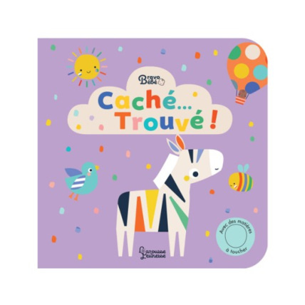 Avis Livre Caché...trouvé LAROUSSE 1