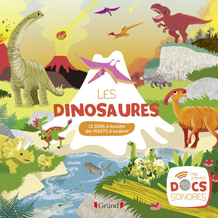 Avis Livre sonore Les Dinosaures Gründ 1