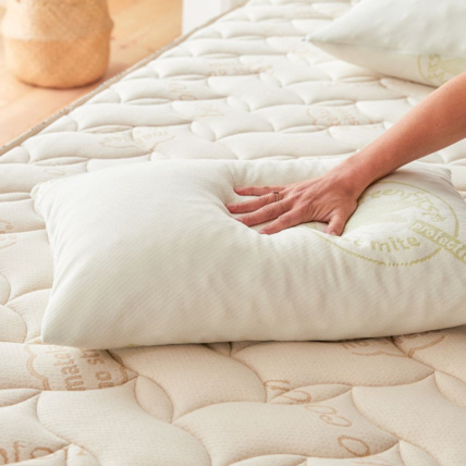 Avis Oreiller Anti acarien Greenfirst Matelas No Stress 4
