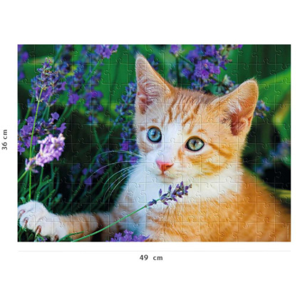 Avis Puzzle Chaton roux dans la lavande - de 7 ans RAVENSBURGER 3